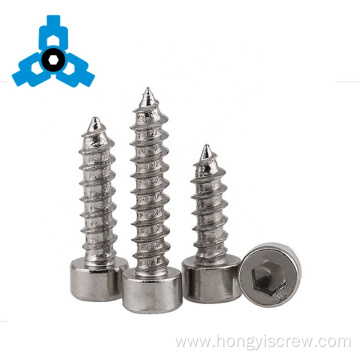 Hexagon Socket Head Stainless Steel Self Tapping Screws